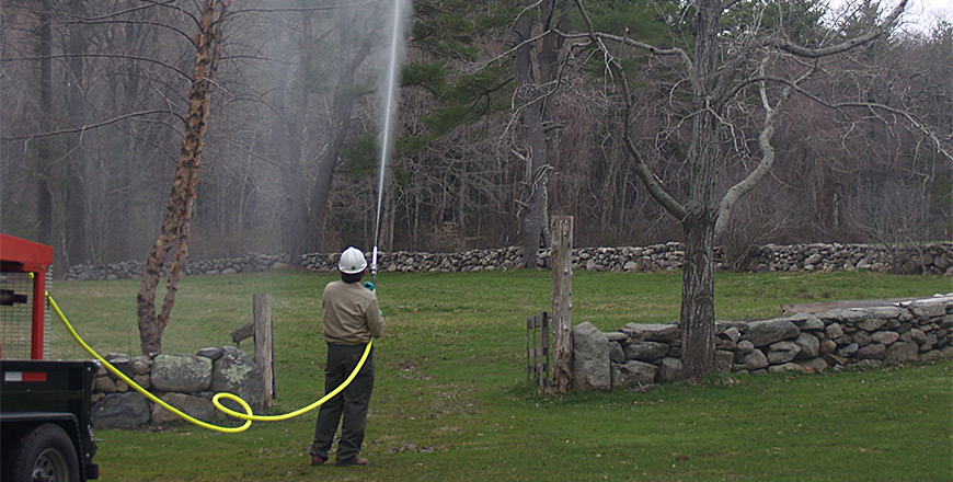 Man spraying trees for Plant Diagnosis and Pest Management