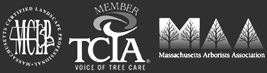 MCLP, TCIA and MAA membership logos